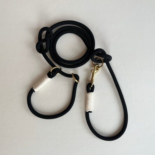 Hondenriem jachtlijn zwart - Dog leash hunting line black